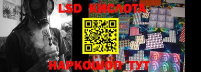 стафф Бийск